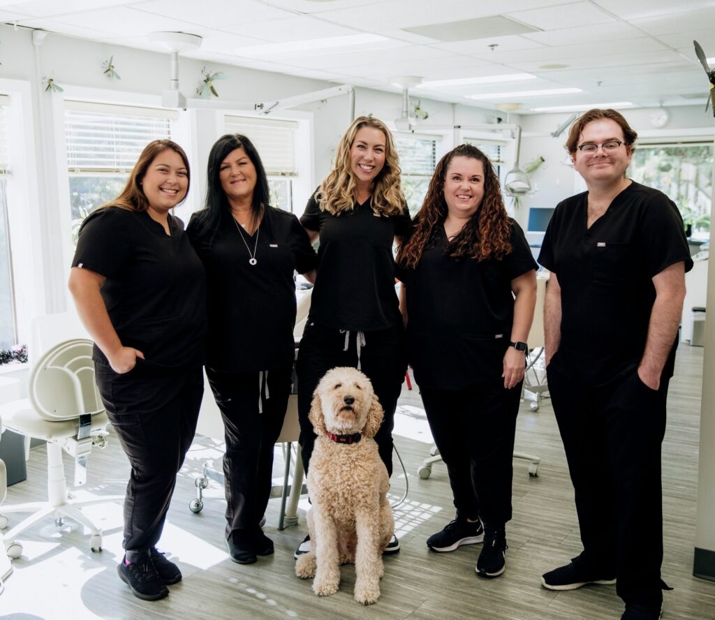 Meet the team and the dog