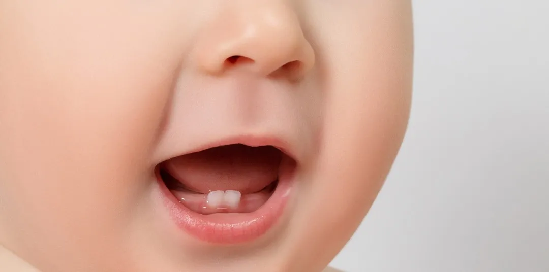 Baby teeth