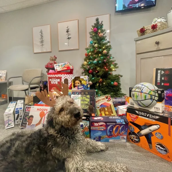 Toy Drive '23