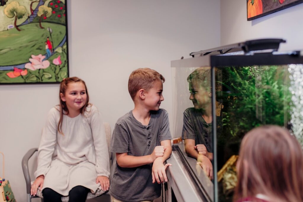 image 2 - Pine Tree Pediatric Dentistry